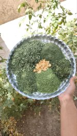 سبزی کوکو با سیر